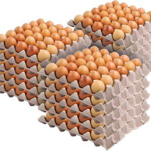 Caja de Huevos Medianos
